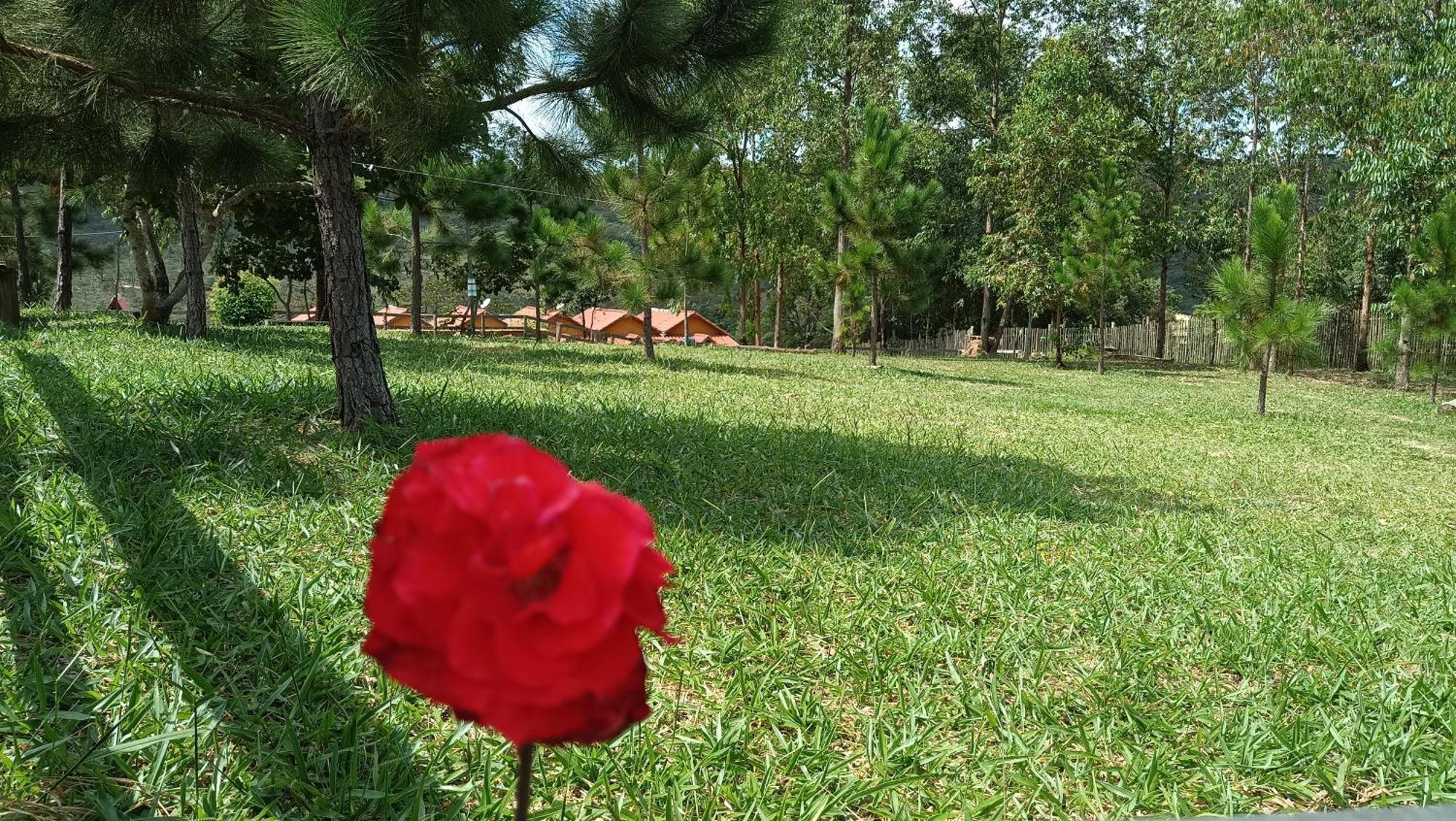 Chales E Camping Do Robinho 1 São Tomé das Letras 外观 照片
